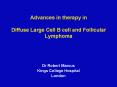 Advances in therapy in Diffuse Large Cell B cell and Follicular Lymphoma PowerPoint PPT Presentation