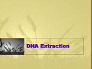 DNA Extraction