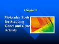 Molecular Tools for Studying Genes and Gene Activity PowerPoint PPT Presentation