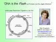 DNA is the Flash but Proteins are the Cash of Biotech PowerPoint PPT Presentation
