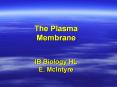 The Plasma Membrane  IB Biology HL E. McIntyre PowerPoint PPT Presentation