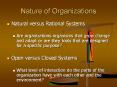 Nature of Organizations PowerPoint PPT Presentation