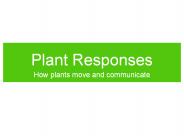 Plant Responses