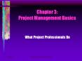 Chapter 3: Project Management Basics PowerPoint PPT Presentation