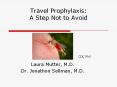 Travel Prophylaxis:  A Step Not to Avoid PowerPoint PPT Presentation