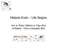 Malaria Ends – Life Begins PowerPoint PPT Presentation