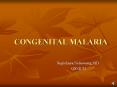 CONGENITAL MALARIA PowerPoint PPT Presentation