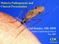 Malaria Pathogenesis and Clinical Presentation PowerPoint PPT Presentation