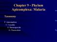 Chapter 9 - Phylum Apicomplexa: Malaria PowerPoint PPT Presentation