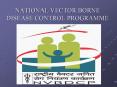 NATIONAL VECTOR BORNE DISEASE CONTROL PROGRAMME PowerPoint PPT Presentation