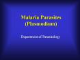 Malaria Parasites (Plasmodium) PowerPoint PPT Presentation