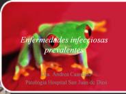 Enfermedades infecciosas prevalentes