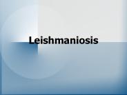 Leishmaniosis