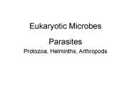 Eukaryotic Microbes