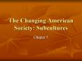 The Changing American Society: Subcultures PowerPoint PPT Presentation