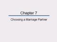 Choosing a Marriage Partner PowerPoint PPT Presentation