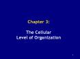 Chapter 3:  The Cellular Level of Organization PowerPoint PPT Presentation