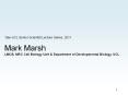 Mark Marsh LMCB, MRC Cell Biology Unit & Department of PowerPoint PPT Presentation