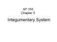 AP 150 Chapter 5 Integumentary System Overview of the PowerPoint PPT Presentation