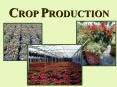 CROP PRODUCTION PowerPoint PPT Presentation