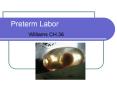 Preterm Labor PowerPoint PPT Presentation