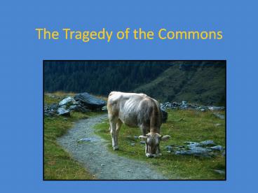 The Tragedy of the Commons