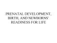 PRENATAL DEVELOPMENT, BIRTH, AND NEWBORNS’ READINESS FOR LIFE PowerPoint PPT Presentation
