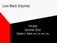 Low Back Injuries PowerPoint PPT Presentation