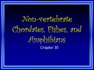 Non-vertebrate Chordates, Fishes, and Amphibians