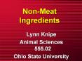 Non-Meat Ingredients PowerPoint PPT Presentation