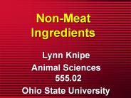Non-Meat Ingredients