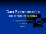 Data Representation (in computer system)