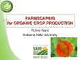 FARMSCAPING for ORGANIC CROP PRODUCTION PowerPoint PPT Presentation