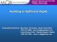 Auditing to Sufficient Depth PowerPoint PPT Presentation