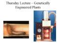Thursday Lecture – Genetically Engineered Plants PowerPoint PPT Presentation