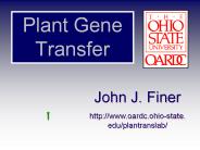 Plant Gene Transfer