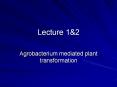 Agrobacterium mediated plant transformation PowerPoint PPT Presentation