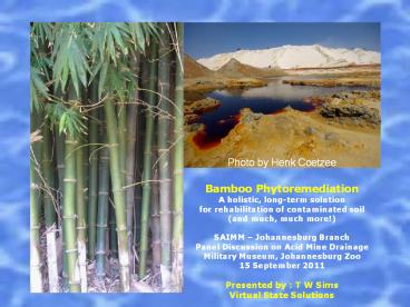 Bamboo Phytoremediation