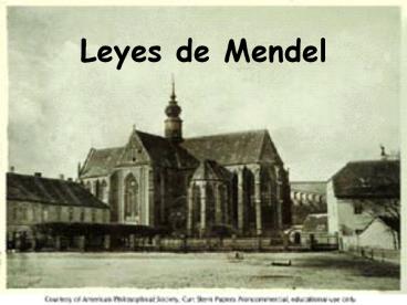 Leyes de Mendel