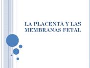 LA PLACENTA Y LAS MEMBRANAS FETAL