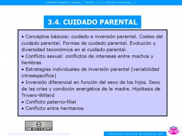 3.4. CUIDADO PARENTAL