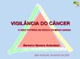 VIGILВNCIA DO CВNCER    E SEUS FATORES DE RISCOs DE MINAS GERAIS PowerPoint PPT Presentation