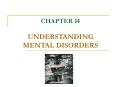 CHAPTER 14 UNDERSTANDING MENTAL DISORDERS PowerPoint PPT Presentation