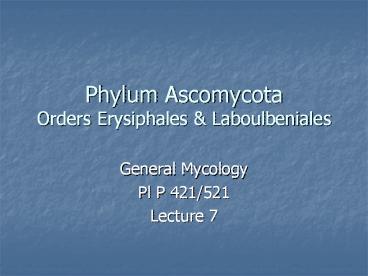 Phylum Ascomycota Orders Erysiphales & Laboulbeniales