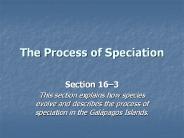 The Process of Speciation