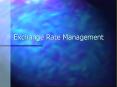 Exchange Rate Management PowerPoint PPT Presentation