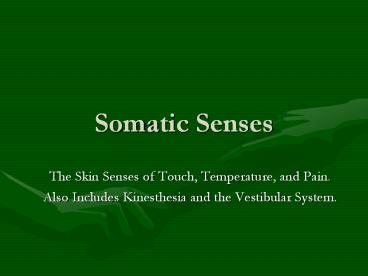 Somatic Senses
