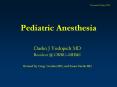 Pediatric Anesthesia PowerPoint PPT Presentation