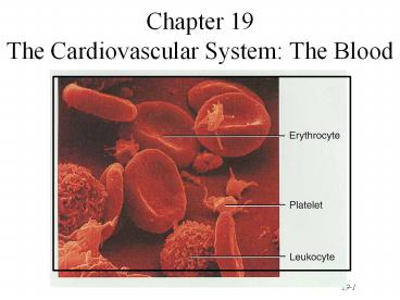 Chapter 19 The Cardiovascular System: The Blood