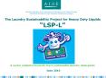 The Laundry Sustainability Project for Heavy Duty Liquids LSP-L     A sector initiative towards more sustainable laundry detergents June 2010 PowerPoint PPT Presentation